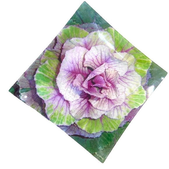 Mary Urdang silk under glass square plate cabbage purples/green artist made mark - Picture 1 of 4
